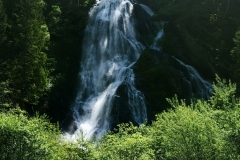 auf der Strecke