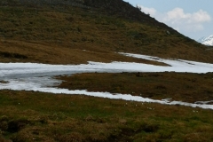 Steiner Mandln